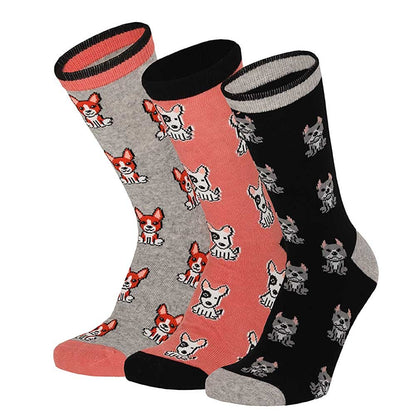 Chaussettes pour dames boîte cadeau imprimé chien