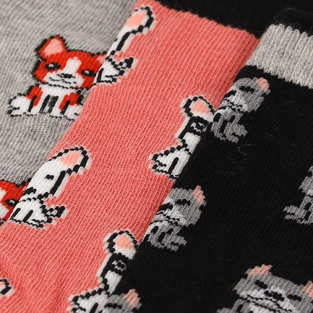 Chaussettes pour dames boîte cadeau imprimé chien